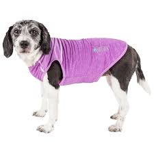 Pet Apparel