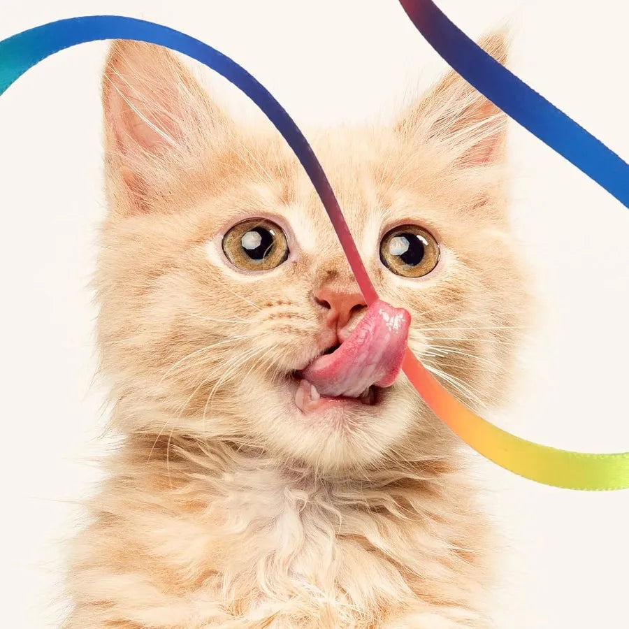 Cat Wand Toy Set Interactive Cat Wand Toy with Rainbow Ribbon String Rainbow Cloth String Leopard Print Cloth String for Small