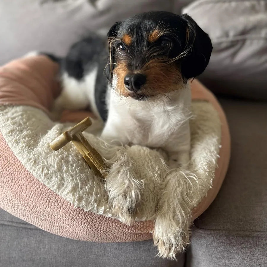 BamBones Plus T Bone Durable Bamboo Fiber and Nylon Dog Chew Designed for Aggressive Chewers Ideal for Adult Dogs and Teething