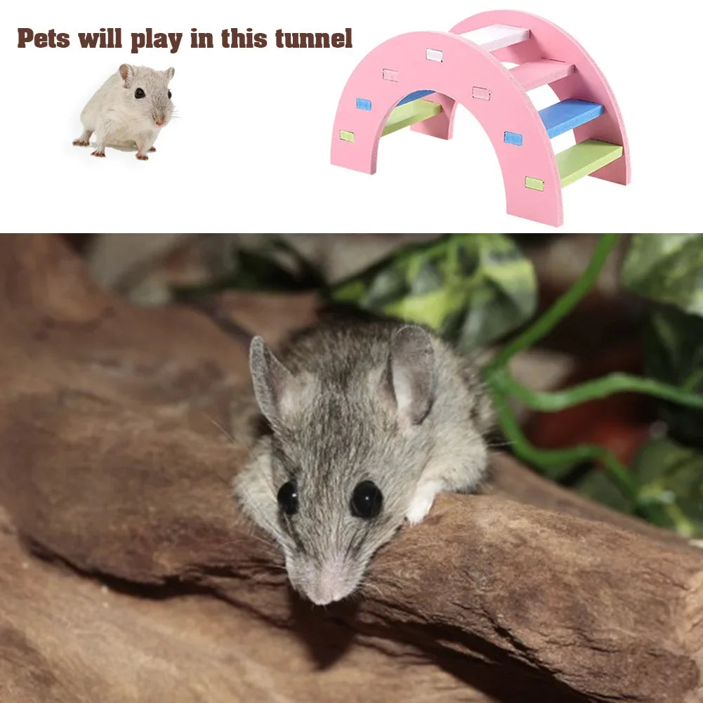 Wooden Hamster Rainbow Bridge Seesaw Swing Toy Small Animal Activity Climbing Exercise Training Toys DIY Cage Accessories